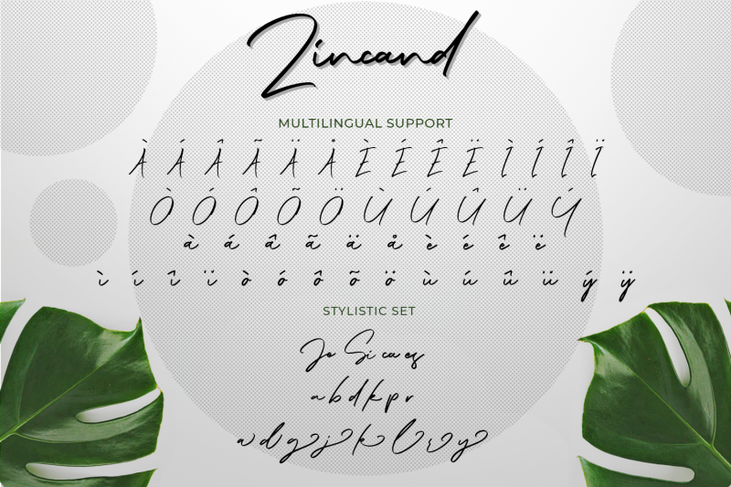 zincand-modern-script-font