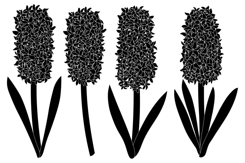 hyacinths-silhouettes-flowers-silhouettes-hyacinth-svg