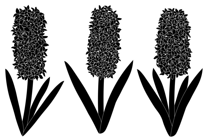 hyacinths-silhouettes-flowers-silhouettes-hyacinth-svg