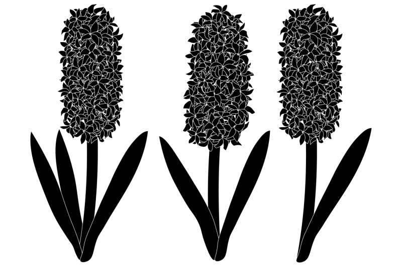 hyacinths-silhouettes-flowers-silhouettes-hyacinth-svg