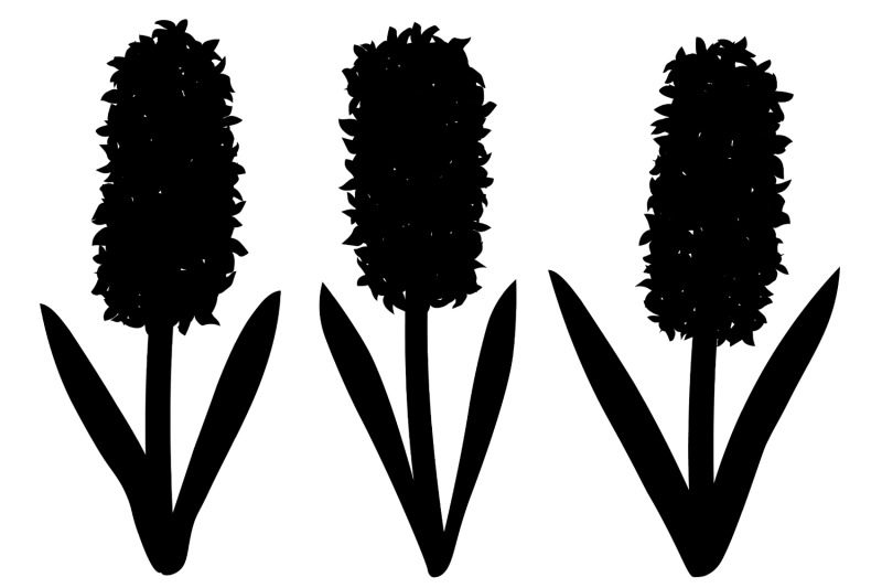 hyacinths-silhouettes-flowers-silhouettes-hyacinth-svg