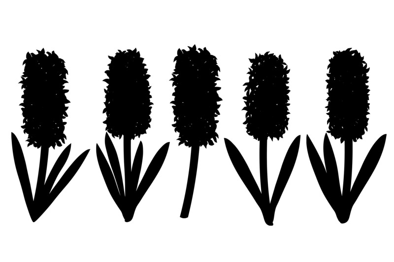 hyacinths-silhouettes-flowers-silhouettes-hyacinth-svg