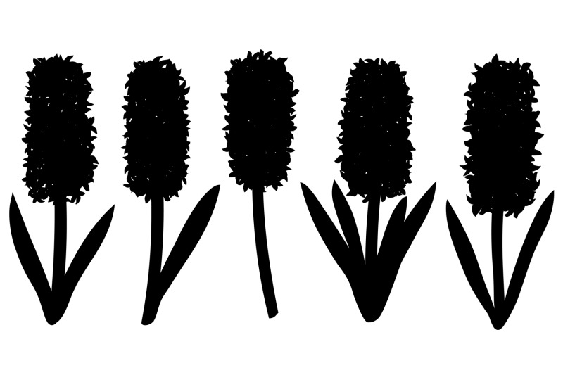 hyacinths-silhouettes-flowers-silhouettes-hyacinth-svg