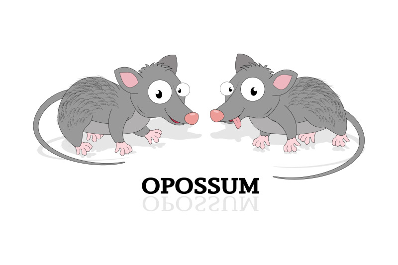 cute-opossum-animal-cartoon