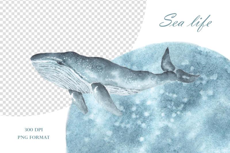 sea-watercolor-clipart-whales-watercolor-set-watercolor-fish-sea