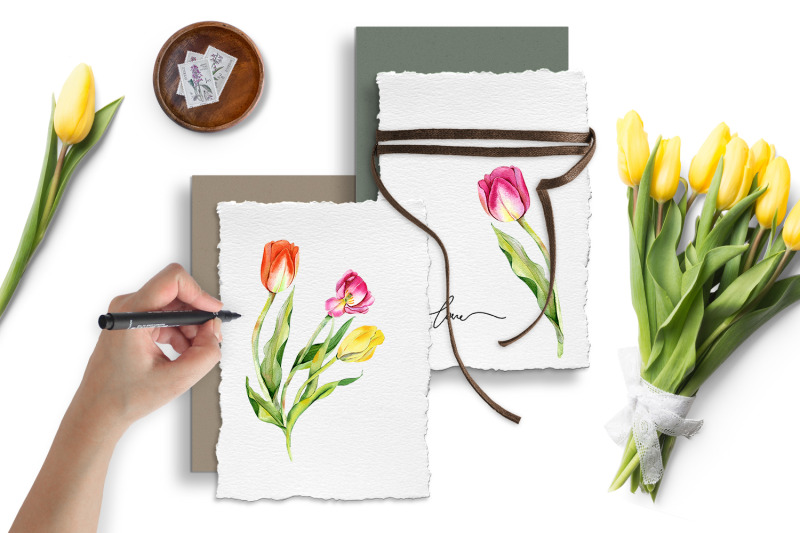 watercolor-tulips-clipart