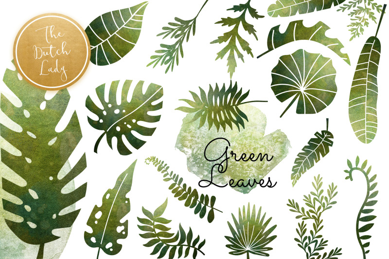 green-shiny-leaf-clipart-set