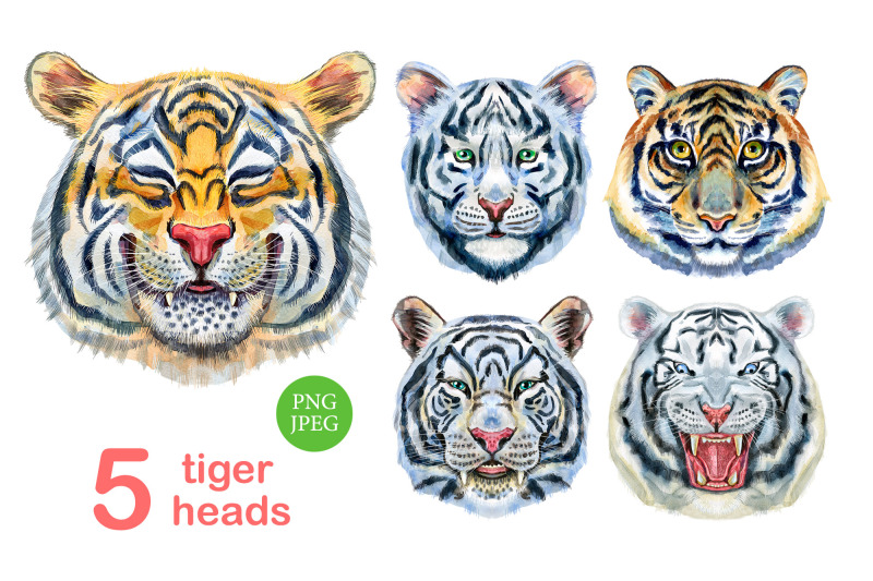 watercolor-tiger-portraits