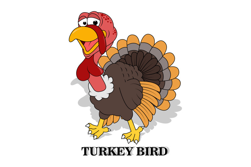 cute-turkey-bird-animal-cartoon