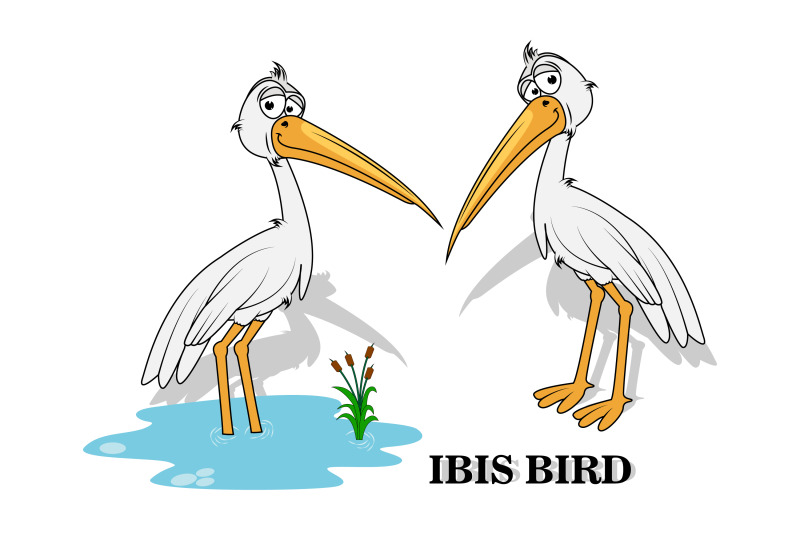 cute-ibis-bird-animal-cartoon