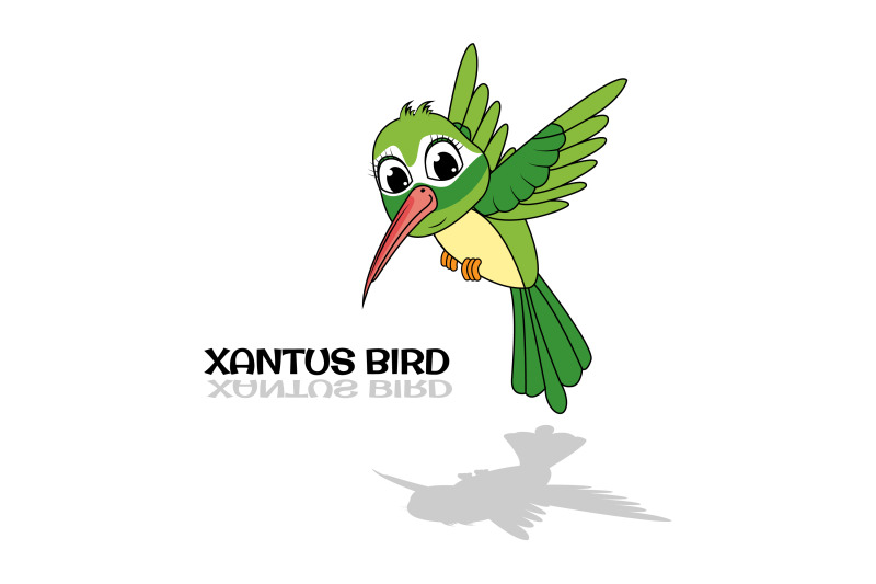 cute-xantus-bird-animal-cartoon