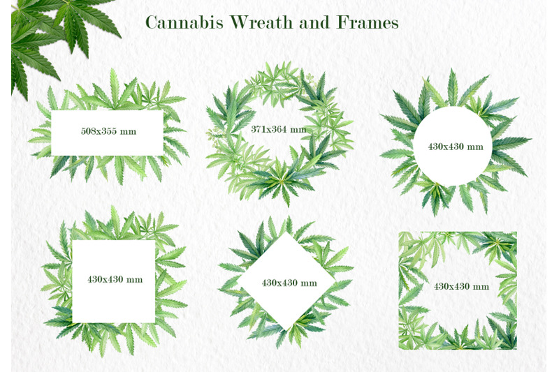 cannabis-leaves-watercolor-frame-clipart-hand-drawn-marijuana-6-png