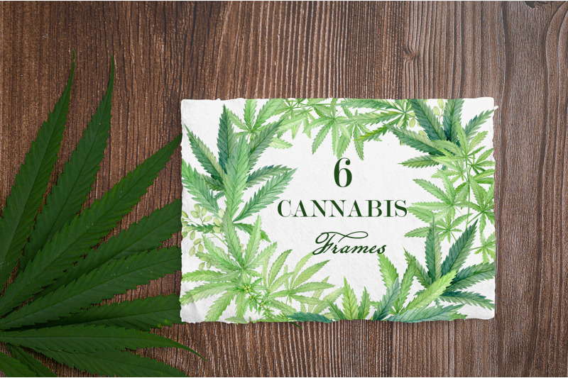 cannabis-leaves-watercolor-frame-clipart-hand-drawn-marijuana-6-png