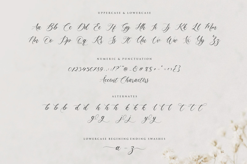 claytona-modern-calligraphy-script-font