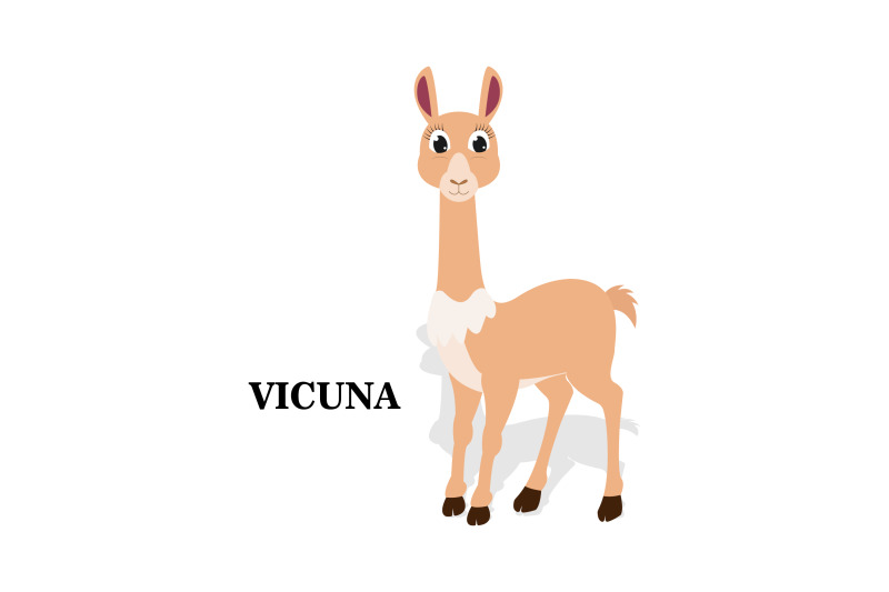 cute-vicuna-animal-cartoon