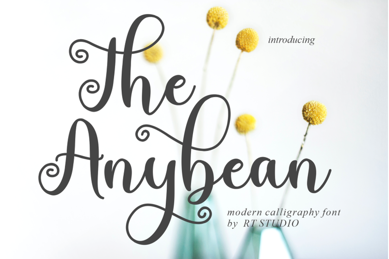 the-anybean