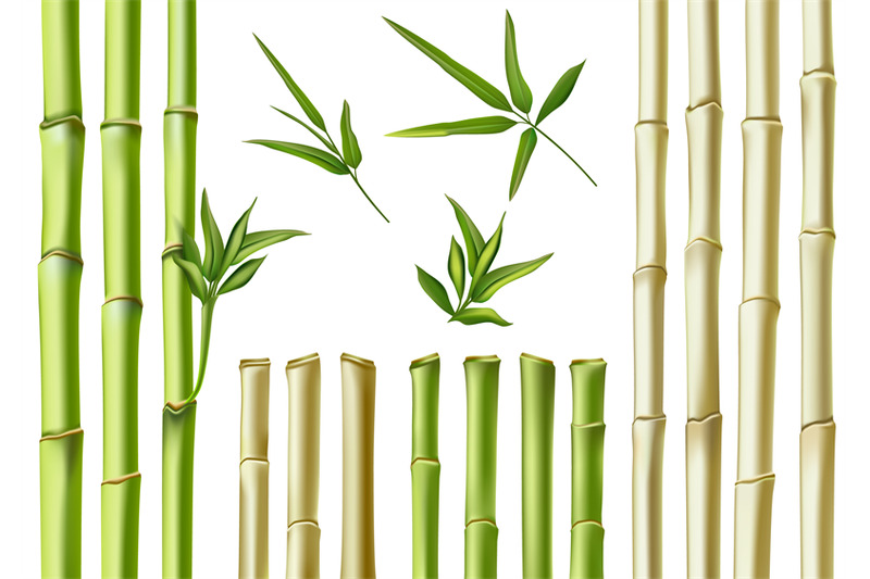 realistic-bamboo-sticks-3d-green-and-brown-branches-stem-and-leaves