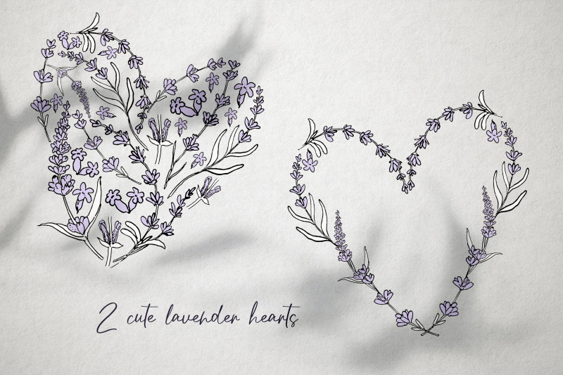 hand-drawn-lavender-clipart-valentines-lavender-heart