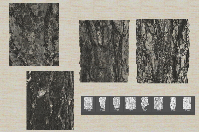 tree-bark-texture-brushes-for-photoshop-procreate-abr