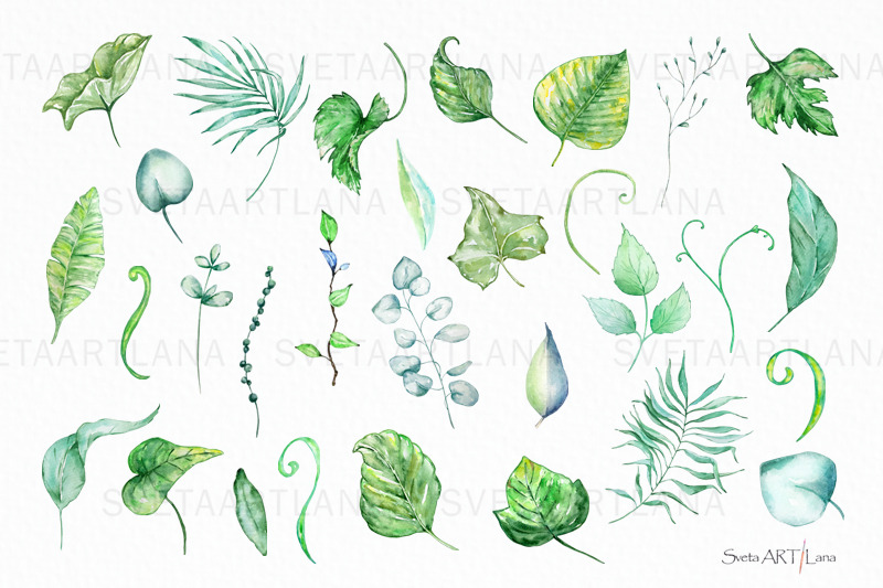 watercolor-greenery-branches-leaves-clipart