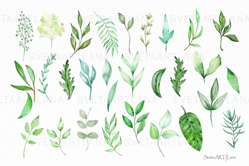 watercolor-greenery-branches-leaves-clipart