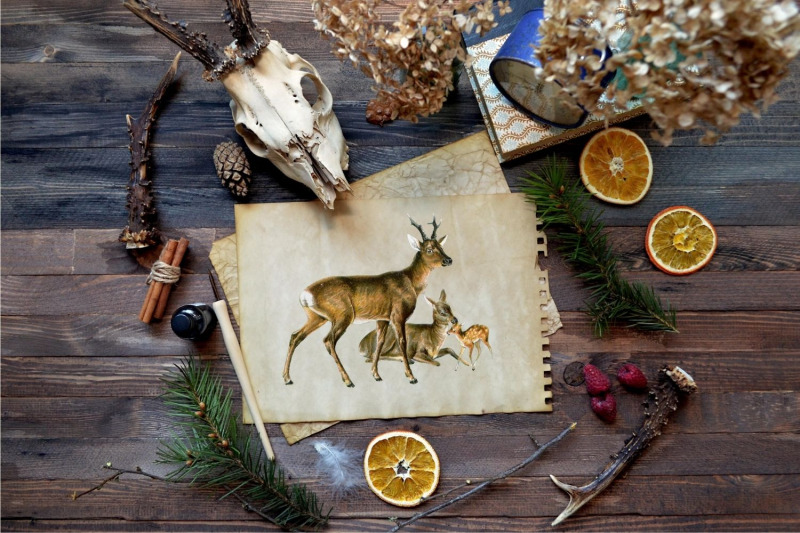 antique-animal-clipart-set-vintage-deers-clipart-graphics