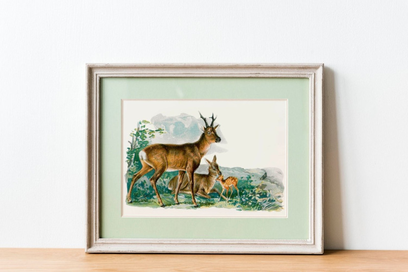 antique-animal-clipart-set-vintage-deers-clipart-graphics