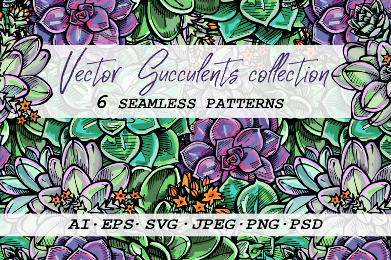 6-seamless-patterns-with-succulents-svg-ai-eps-psd-png-jpeg