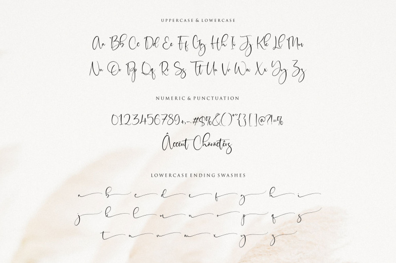 sisterli-modern-calligraphy-font