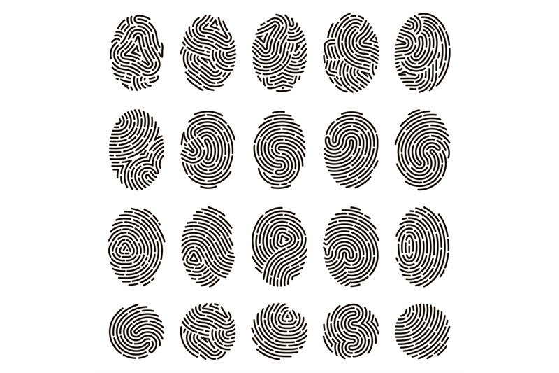 fingerprint-identification-biometric-human-fingerprints-unique-thumb