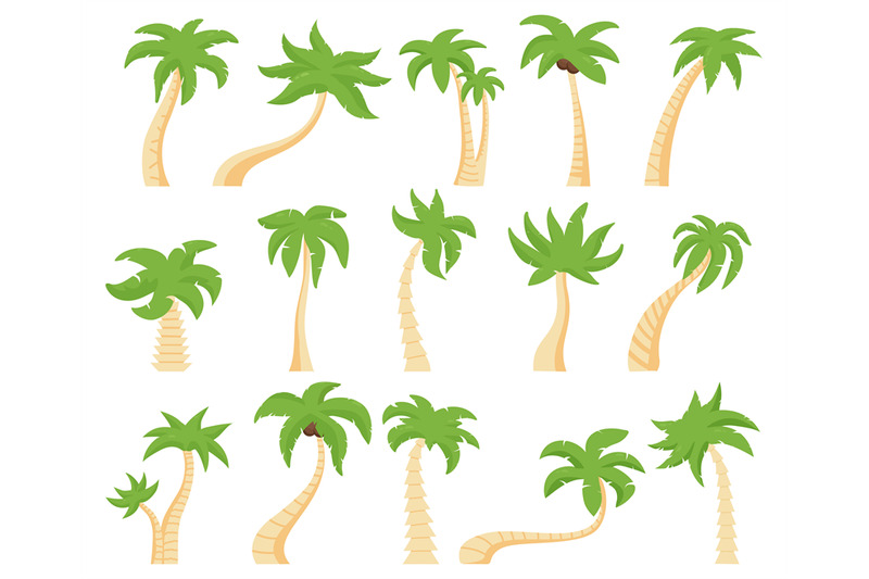 tropical-palms-green-floral-palm-tree-exotic-coconut-palm-exotic-ha