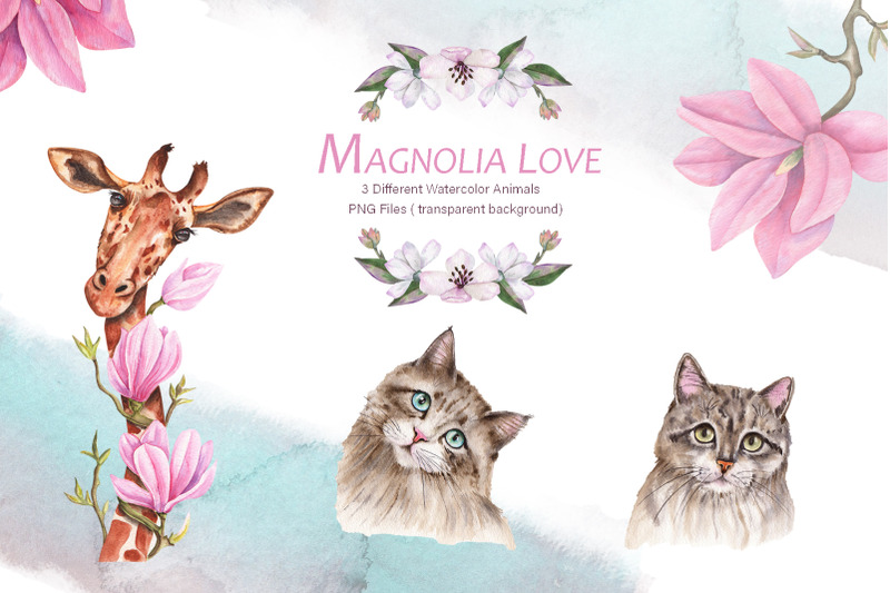 magnolia-love-watercolor-collection