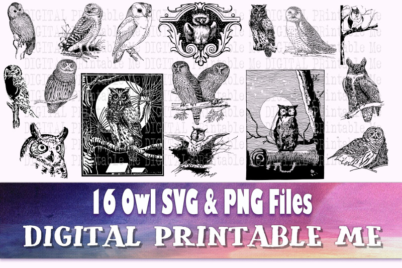 owl-svg-bundle-pmg-pack-clip-art-16-images-instant-download-digit