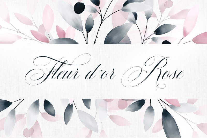 fleur-d-039-or-rose-graphic-collection