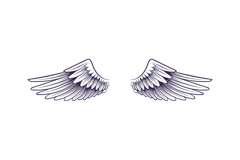 sketch-angel-wings-flying-hand-drawn-wing-feathers-decoration-of-hea