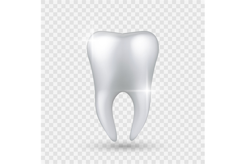 shiny-tooth-realistic-healthy-clear-white-tooth-isolated-on-transpare