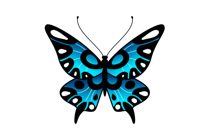 butterfly-colorful-stylized-summer-flying-insect-bright-desigd-in-bl