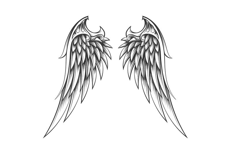 wings-drawn-in-engraving-style-tattoo