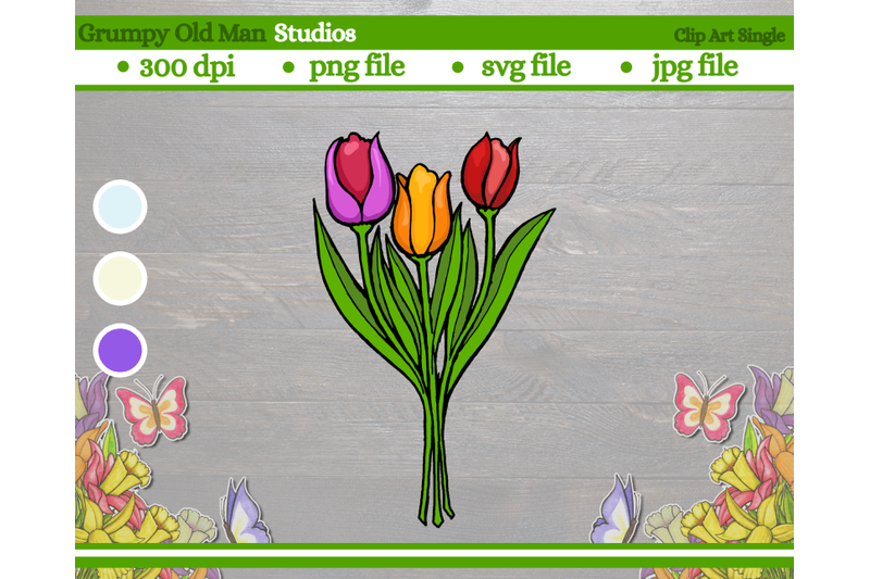 spring-tulip-flower