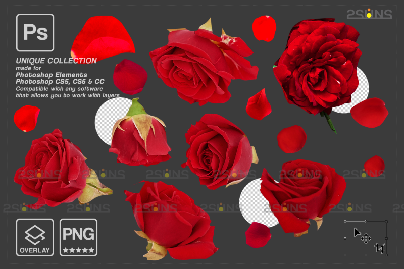 valentine-digital-overlay-amp-flower-overlays-photoshop-overlay