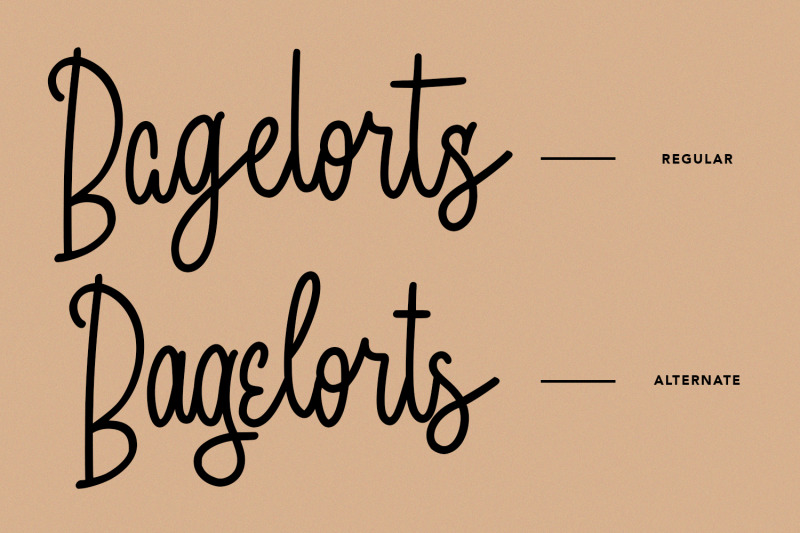 bagelorts-handwritten-script-font