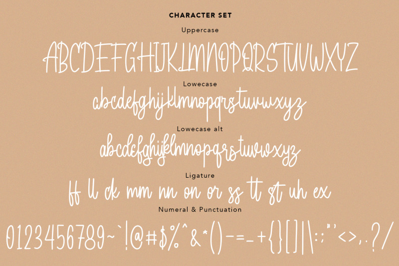 bagelorts-handwritten-script-font