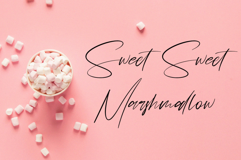 schwitz-signature-sweet-casual-script-font