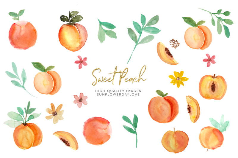 peach-fruit-clipart-watercolor-peach-clipart-peach-leaves