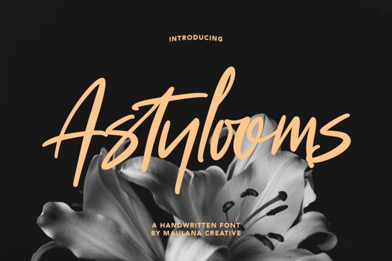 astylooms-handwritten-brush-font