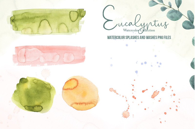 eucalyptus-watercolor-collection