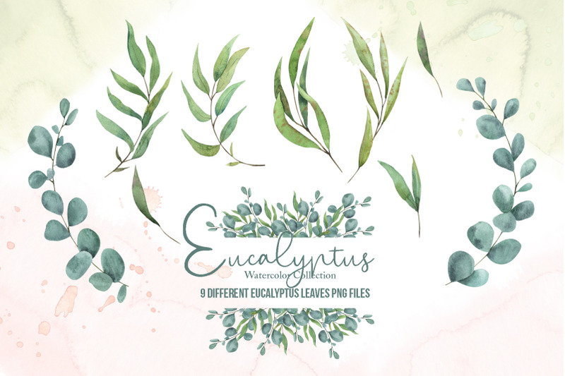 eucalyptus-watercolor-collection