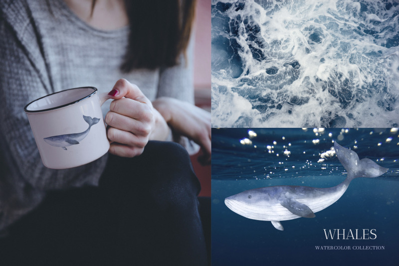 whales-watercolor-collection-of-illustrations-and-seamless-patterns