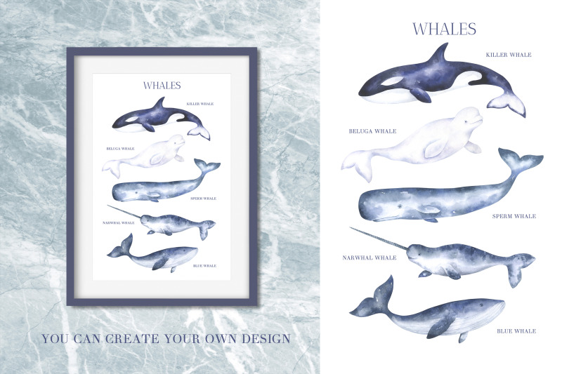 whales-watercolor-collection-of-illustrations-and-seamless-patterns