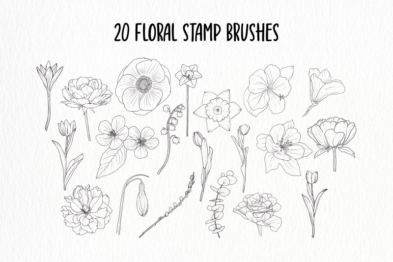 Hand Drawn Flowers Procreate Stamp Brushes By auramarina | TheHungryJPEG